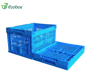 Caja móvil plegable de plástico reutilizable Ecobox para transporte